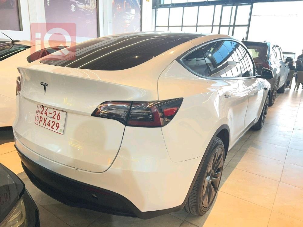 تسلا موديل Y